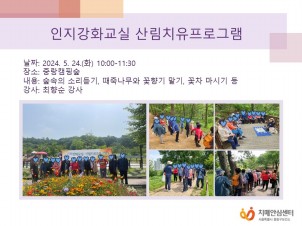 [߶]ȭ(ġŰ豺) 긲ġ α׷
